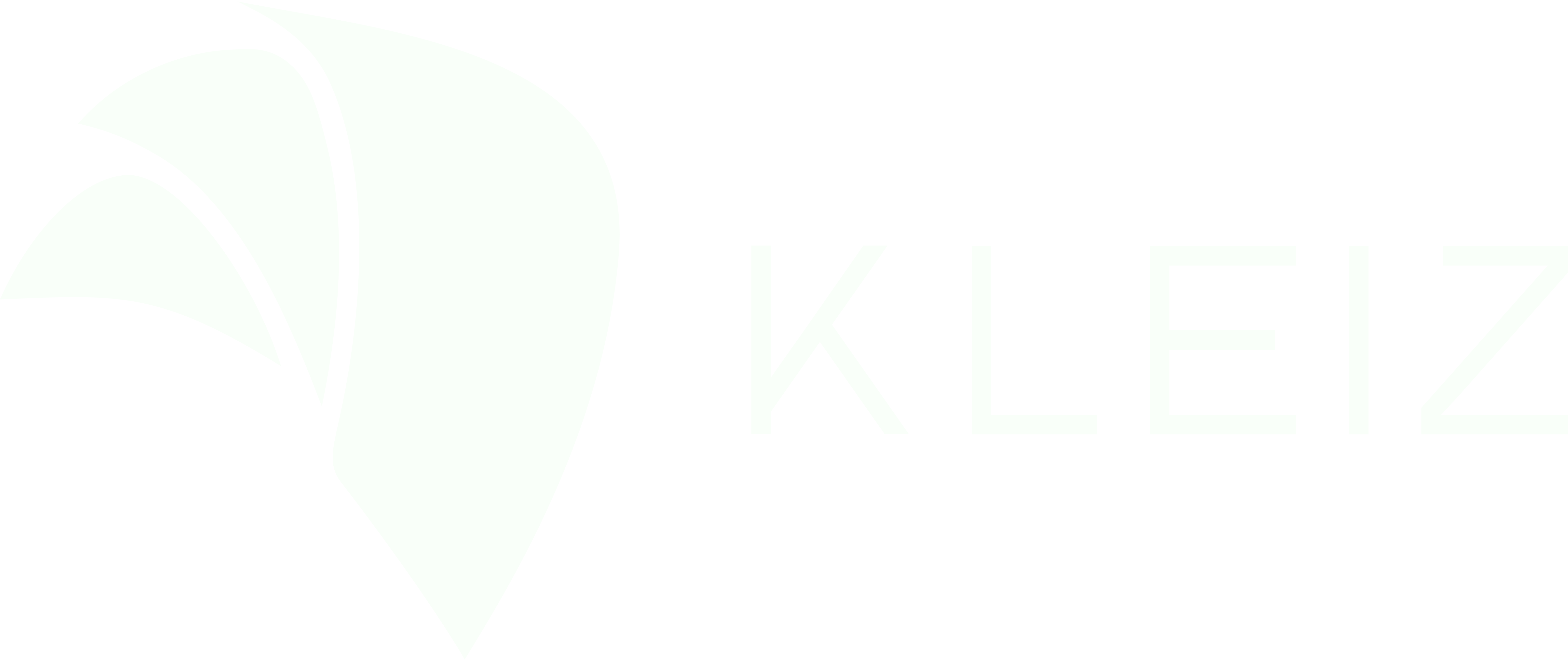 logo Kleiz